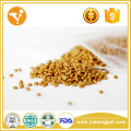 Good Quality and Original Dog Food Real Natural Pet Food Dry